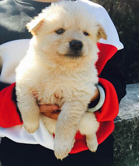 ����վ��С��������