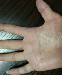 ���������ô����