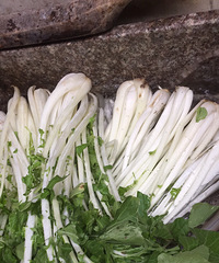 ũ���������̲�