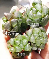 �װ��������ǿ�����