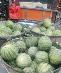 �����ϡ�������ڵ��������ϣ��ó���