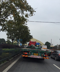 ������Щ����