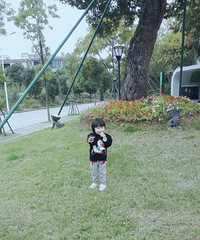 �²����������