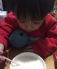 ������Ҫ������