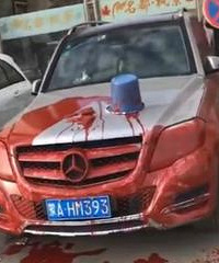 ��ͣ���ı����³�