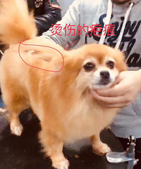 Ѱ�Ҷ�ʧ����