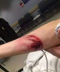 ��������ȫ���������ж��