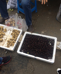 �����ϡ�ֻҪ˵����ʲô�������ڵ���ϡ��ŹֵĶ�����ͨ��