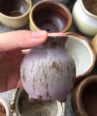 ���⻨���Żݳ�