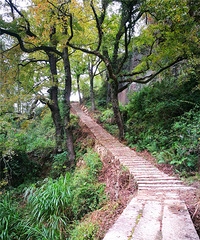 ��ʮ������ŵ���������棬Ŀ��Ͼ�ӣ�����ʤ��