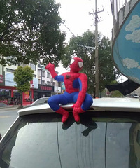 �������ģ�ż��֩����