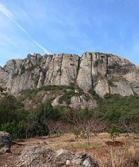 �ٺ����Ű��Ҷ�ɽ