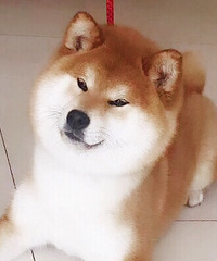 ��Ʒ�ձ���Ȯ