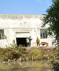 ��Щ���������