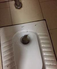 �����ϡ���ĳ�����ϲ����������з������ȥ��