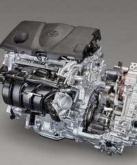 ʲô��������ɿ�