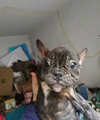 ���Ż��У��ͼ�ת��3���´��3�����߷���MM����˿β��������ȫ