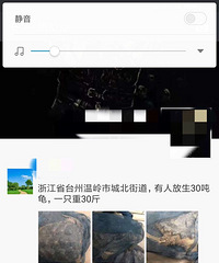 �����ϡ������Ǻ��£�����Ҫ���İ컵�£��������˷������������