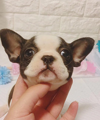 ���ۺڰ׷�ţmm ȫ�׷�ţmm �ڰ׵ܵ�