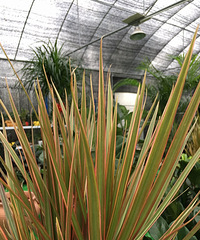 �������ˮ����