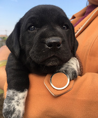 �Լ��Ұߵ����Ĵ���