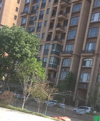 �������ռǡ������˲ŷ��ֱ�ƭ�� ˵�õĽ������������ö�û��