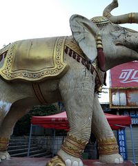 �ڳ�����֮��