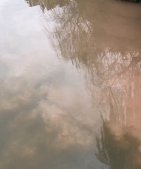 �����ϡ��������к������������˷ŵ���ˮȾһ�º�ˮ