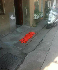 �����ϡ���һ����ͨ�����ʲô����������ʲô�ã������۵����ӣ�