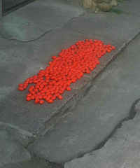 �����ϡ���һ����ͨ�����ʲô����������ʲô�ã������۵����ӣ�