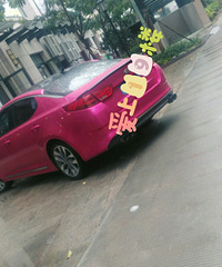 ��������֮�÷�ɧ����ɫ