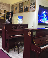 �ձ�YAMAHA��KAWAI���ָ���