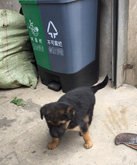 ��λ��,��������С����