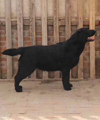 ��Ȯ�����������