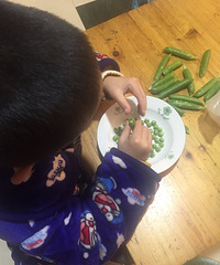 ����Ҳ���ģ�����������