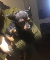 ����Ѱ������ʾ