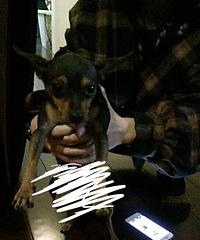 ����Ѱ������ʾ