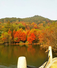 ��������ɽ