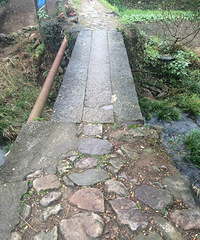 �����ŵ�