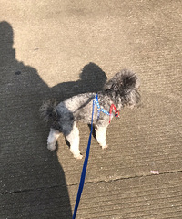 ·�Ž�巻�԰�ؽ�Ѱ��