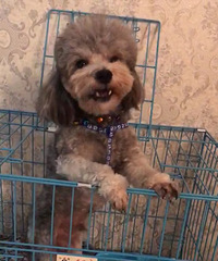 ·�Ž�巻�԰�ؽ�Ѱ��