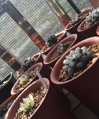 ���������ˣ����㳤�ÿ�