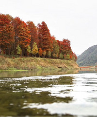 С֥������