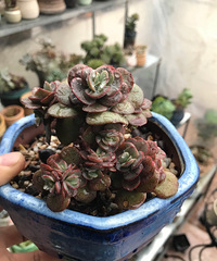 �������Ҫ�ԣ��Һ������Լ��ҵ��裬զ����ô�ѿ���