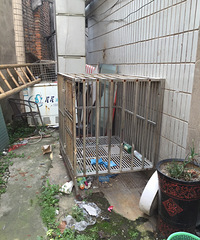 ����ת��