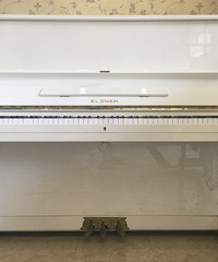 �ձ�YAMAHA.KAWAI���ָ���