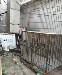 ��Ǯ��������������Ҫ����ֵ�