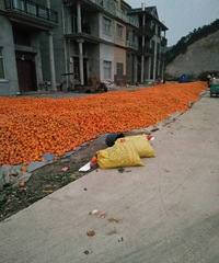 ���۸��᡿������ô���ڵ��ϣ����ỵ��