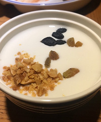 凉皮太惊艳了 酸奶也好吃