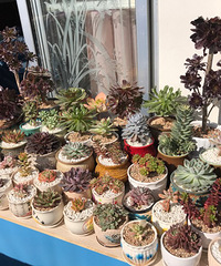 ���������ů